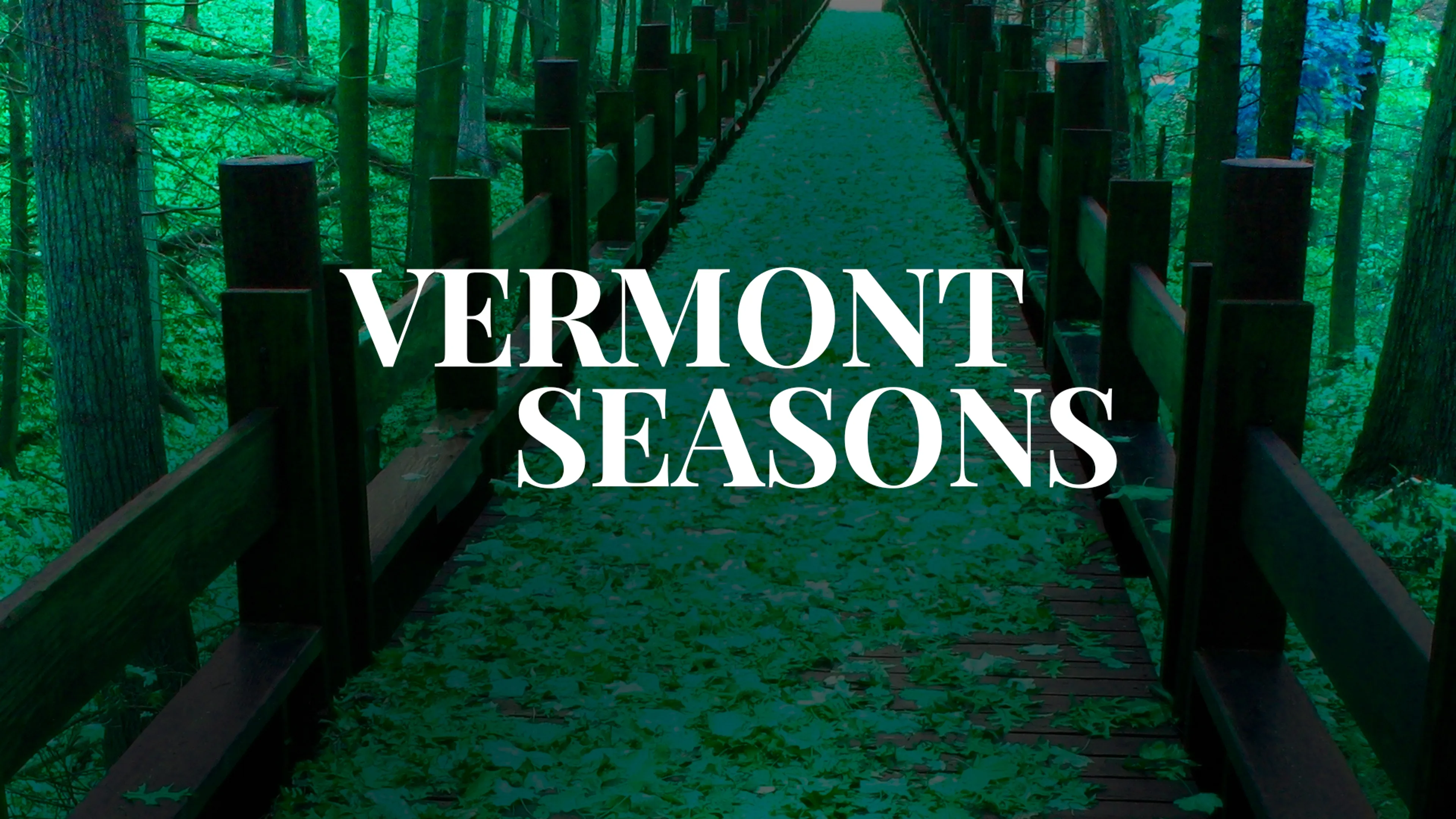 Vermont Seasons poster